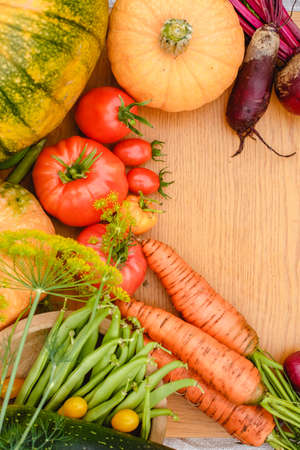 Harvest vegetables on the ground. Potatoes, carrots, beets, peppers, tomatoes, cucumbers, beans, pumpkin, onions and garlic. Autumn harvest farmersの写真素材