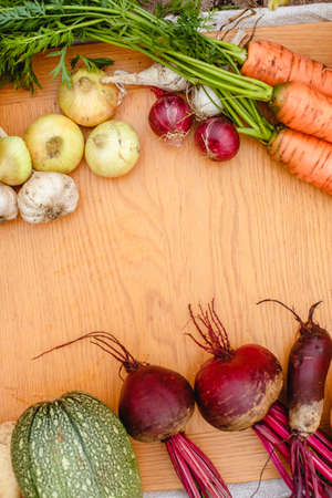 Harvest vegetables on the ground. Potatoes, carrots, beets, peppers, tomatoes, cucumbers, beans, pumpkin, onions and garlic. Autumn harvest farmersの写真素材
