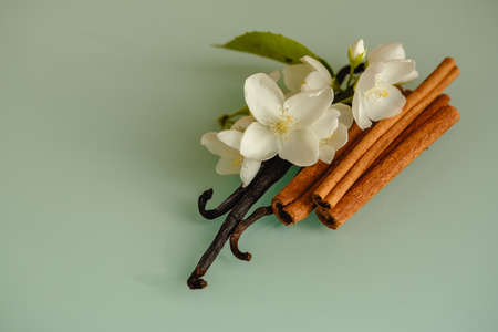Jasmine vanilla and cinnamon. Cooking, aromatherapy and perfume.の写真素材