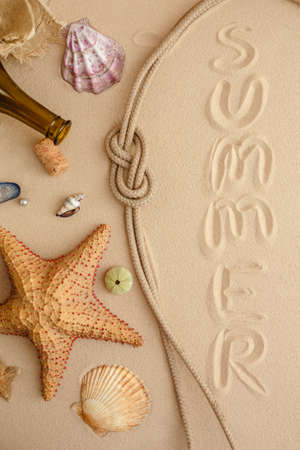 Seafood on a background of sand. Background about sea, ocean or tourism. About sailors, captains, underwater inhabitants. pirate treasures.の写真素材