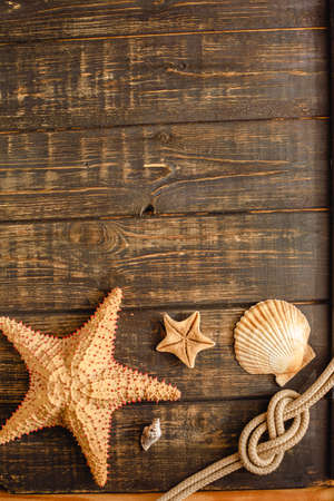 Sea and ocean gifts on a wooden background. marine things. sea products. Water Background for real captains and sailors. pirate design. Bottle, rope, star. underwater treasures.の写真素材
