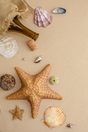 Seafood on a background of sand. Background about sea, ocean or tourism. About sailors, captains, underwater inhabitants. pirate treasures.の写真素材