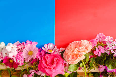 Floral summer background. Frame from spring flowers on a wooden background. Mother's day, easter or birthday cardの写真素材
