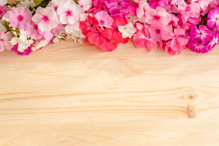 Floral summer background. Frame from spring flowers on a wooden background. Mother's day, easter or birthday cardの写真素材