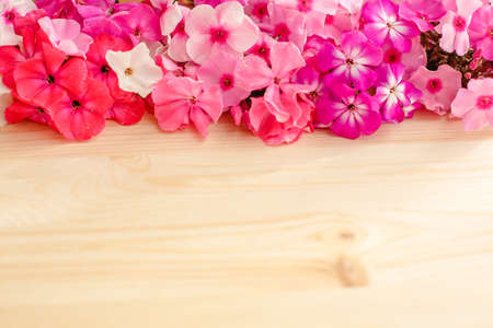 Floral summer background. Frame from spring flowers on a wooden background. Mother's day, easter or birthday cardの写真素材