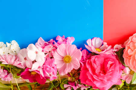 Floral summer background. Frame from spring flowers on a wooden background. Mother's day, easter or birthday cardの写真素材