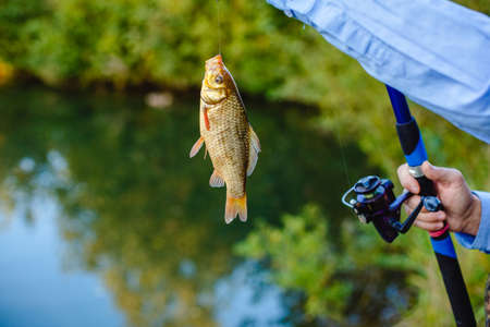 Child is fishing. Boy is a fisherman. Child with a fishing rod caught a fish in a pond. Nice catch!の写真素材