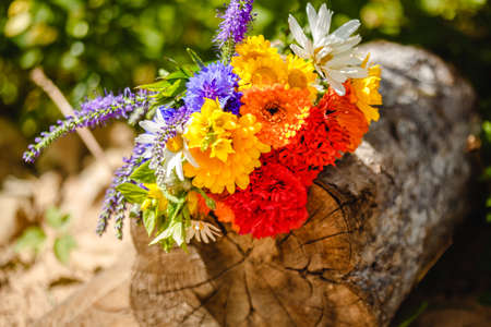 A multi-colored bouquet of wildflowers. Chamomile, cornflowers, calendula, poppy seeds. Flowers are like a rainbow. Bright summer bouquet. spring flowering.の写真素材