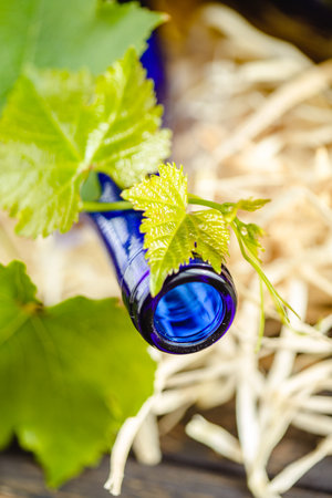 Wine bottle on a wooden background. Winemaking, sommelier.の写真素材