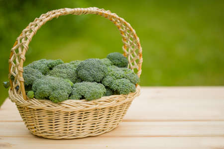 Broccoli in a basket. Green harvest of fresh vegetables.の写真素材