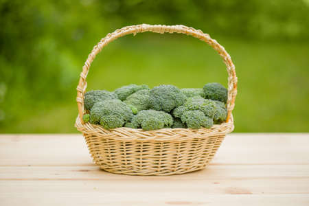 Broccoli in a basket. Green harvest of fresh vegetables.の写真素材