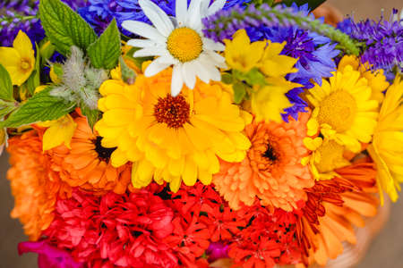 A multi-colored bouquet of wildflowers. Chamomile, cornflowers, calendula, poppy seeds. Flowers are like a rainbow. Bright summer bouquet. spring flowering.の写真素材