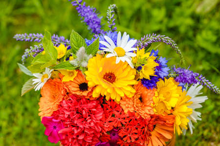 A multi-colored bouquet of wildflowers. Chamomile, cornflowers, calendula, poppy seeds. Flowers are like a rainbow. Bright summer bouquet. spring flowering.の写真素材