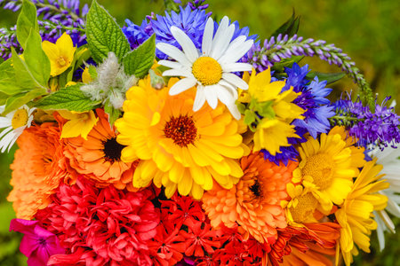 A multi-colored bouquet of wildflowers. Chamomile, cornflowers, calendula, poppy seeds. Flowers are like a rainbow. Bright summer bouquet. spring flowering.の写真素材