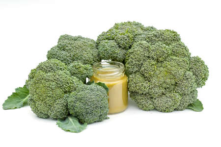 Broccoli as baby food. Healthy vitamins in vegetables. Fresh green complementary foods.の写真素材