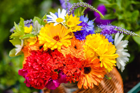 A multi-colored bouquet of wildflowers. Chamomile, cornflowers, calendula, poppy seeds. Flowers are like a rainbow. Bright summer bouquet. spring flowering.の写真素材
