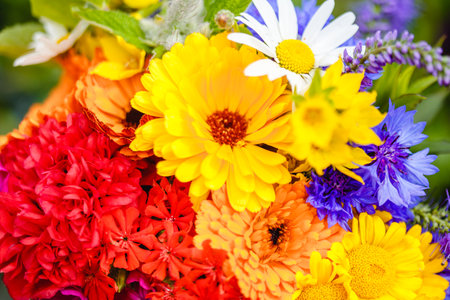 A multi-colored bouquet of wildflowers. Chamomile, cornflowers, calendula, poppy seeds. Flowers are like a rainbow. Bright summer bouquet. spring flowering.の写真素材