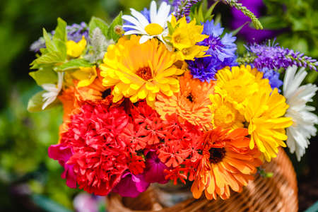 A multi-colored bouquet of wildflowers. Chamomile, cornflowers, calendula, poppy seeds. Flowers are like a rainbow. Bright summer bouquet. spring flowering.の写真素材