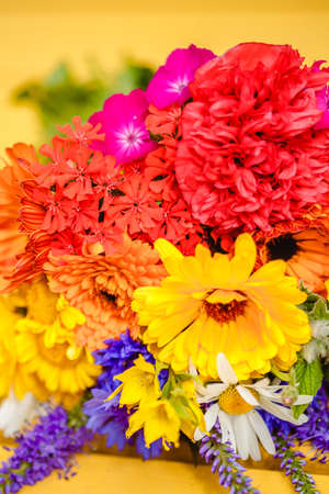 A multi-colored bouquet of wildflowers. Chamomile, cornflowers, calendula, poppy seeds. Flowers are like a rainbow. Bright summer bouquet. spring flowering.の写真素材