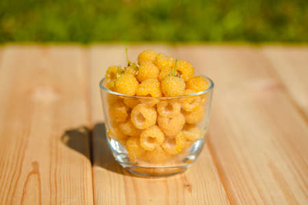 Raspberry yellow. Bright sweet summer berries. Vegetarian healthy dessert in a mug on the background of nature.の写真素材