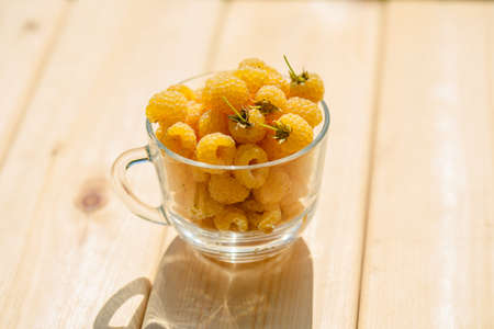 Raspberry yellow. Bright sweet summer berries. Vegetarian healthy dessert in a mug on the background of nature.の写真素材