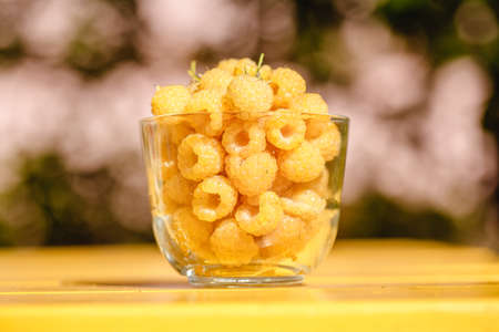 Raspberry yellow. Bright sweet summer berries. Vegetarian healthy dessert in a mug on the background of nature.の写真素材