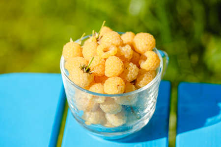 Raspberry yellow. Bright sweet summer berries. Vegetarian healthy dessert in a mug on the background of nature.の写真素材