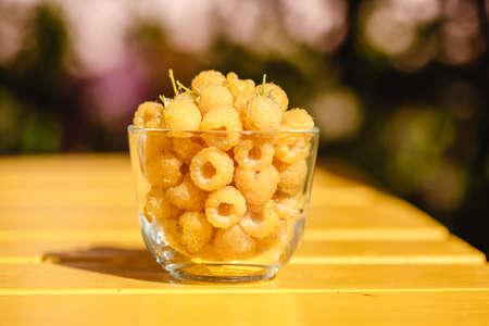 Raspberry yellow. Bright sweet summer berries. Vegetarian healthy dessert in a mug on the background of nature.の写真素材