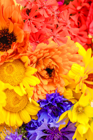 A multi-colored bouquet of wildflowers. Chamomile, cornflowers, calendula, poppy seeds. Flowers are...