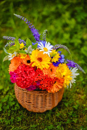 A multi-colored bouquet of wildflowers. Chamomile, cornflowers, calendula, poppy seeds. Flowers are like a rainbow. Bright summer bouquet. spring flowering.の写真素材