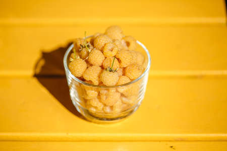 Raspberry yellow. Bright sweet summer berries. Vegetarian healthy dessert in a mug on the background of nature.の写真素材