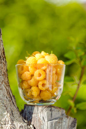 Raspberry yellow. Bright sweet summer berries. Vegetarian healthy dessert in a mug on the background...