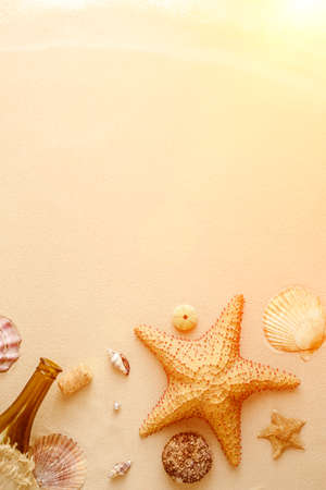 Seafood on a background of sand. Background about sea, ocean or tourism. About sailors, captains, underwater inhabitants. pirate treasures.の写真素材