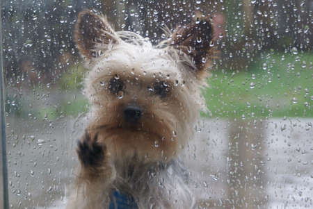 let me inの写真素材