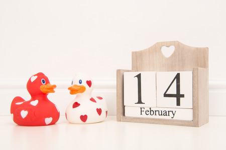 Valentine 14 february date with 2 red and white love rubber ducks in a white living room settingの写真素材