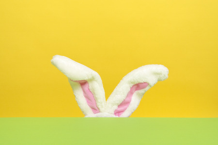 Easter bunny ears on a green and yellow background as a concept for easter with copy spaceの写真素材