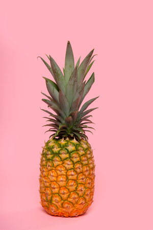 Pineapple on a pink backgroundの写真素材