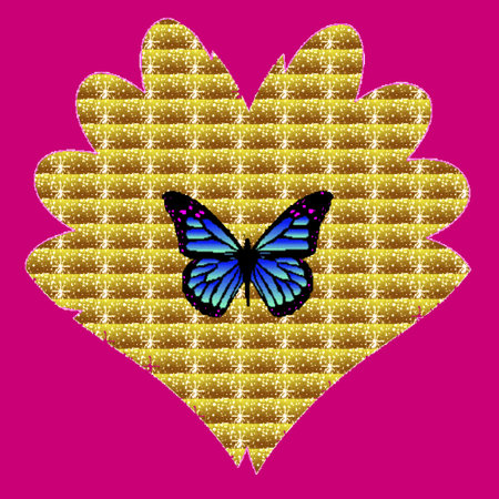 Butterflyの写真素材