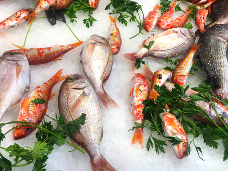 Fresh fish and seafood