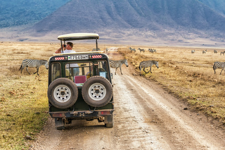 NGORONGORO, TANZANIA - OCTOBER 21, 2014 : Tourists watching zebras from a safari car in Ngorongoro conservation area. Ngorongoro Crater is a large volcanic caldera and a wildlife reserve.のeditorial素材