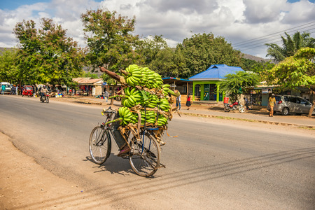 MTO WA MBU, ARUSHA, TANZANIA - OCTOBER 22, 2014 : African man traveling on a bike with a bunch of bananasのeditorial素材