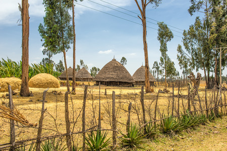 Traditional village houses near Addis Ababa, Ethiopia, Africaの写真素材