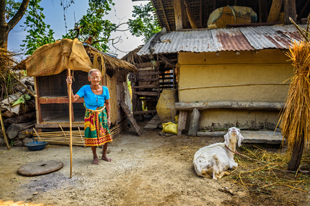 CHITWAN, NEPAL - OCTOBER 24, 2015 : Very old nepalese woman and her goat in the backyard of her houseのeditorial素材