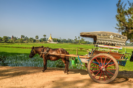 Horse drawn carriage  for an ancient temples tour in Myanmarの写真素材