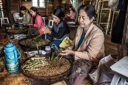 INLE LAKE, MYANMAR - JANUARY 26, 2016 :  Women workers manually produce cigars filled with coarsely chopped tobacco in a cigar factoryのeditorial素材
