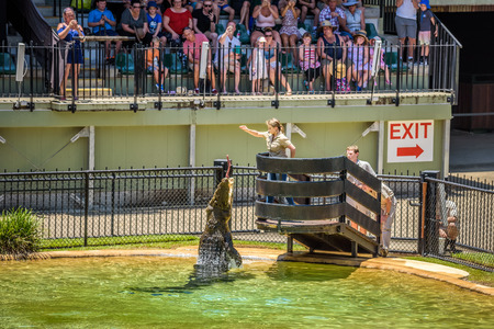 BEERWAH, QUEENSLAND, AUSTRALIA - JANUARY 14, 2017 : Crocodile feeding during the show in the 'Animal Planet Crocoseum' stadium of Australia Zoo, after the death of Steve Irwin.のeditorial素材