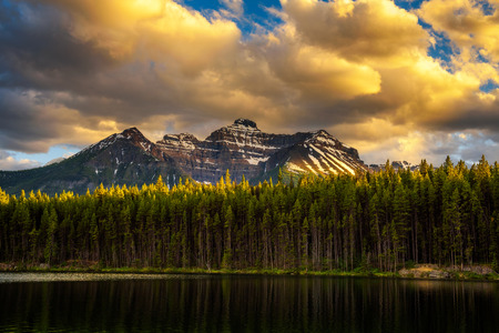 Scenic sunset over deep forest along the Herbert Lake in Banff National Park, with snow-covered peaks of canadian Rocky Mountains in the background.の写真素材