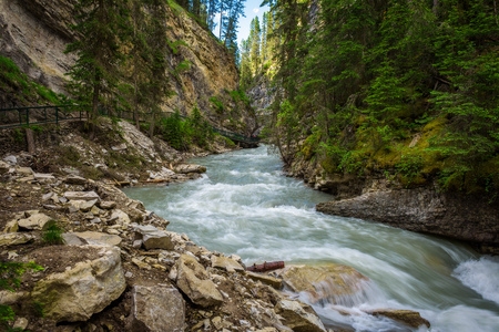 Walkway along the Johnston Creek in Bow Valley Parkwayの写真素材