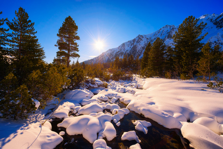 Snowy iced creek in the forestの写真素材