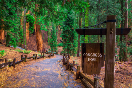 Congress Trail sign in Sequoia National Parkの写真素材